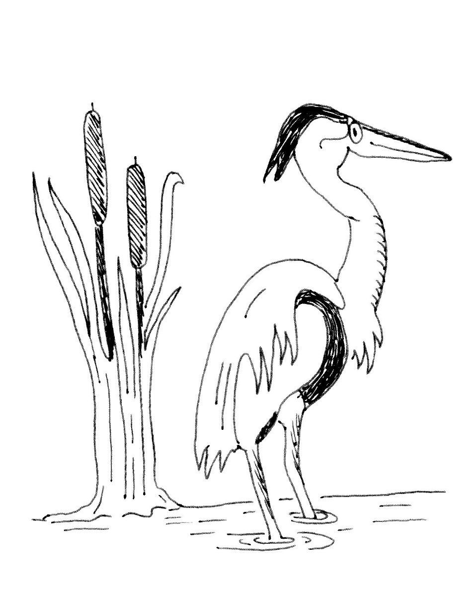 MarjorieTurner.com, Bellingham MA