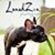 LunahZon Photography