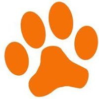 Canine Companion Consulting, Fort Collins CO