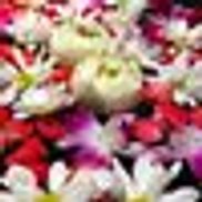 Apollo Travel & Tours