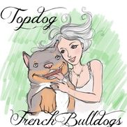 Topdogfrenchbulldogs