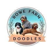 Rowe Farm Doodles