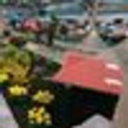 The Dayton Home and Outdoor Living Show