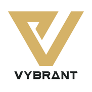 Vybrant Mobile Detailing