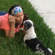 The Perfect Pet Sitter, LLC