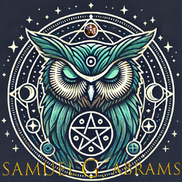 Old Wise Owl Advisor Spiritual Teacher, Tarot Reader, Life and Business Coach, Orlando FL