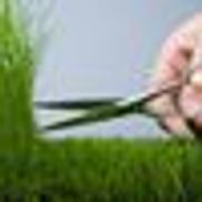 West Michigan Lawn Services LLC