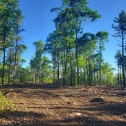 Whyte's Logging, LLC.