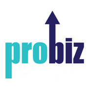 Professional Business Services, Inc.