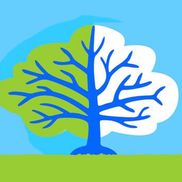 Baywood Consulting