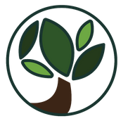 Impact Christian Schools