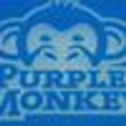 Purple Monkey Design, New Orleans LA