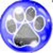 Safe Dog Underground Fence LLC.