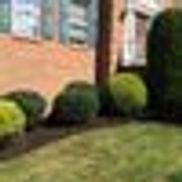 Moncella's Lawn Care