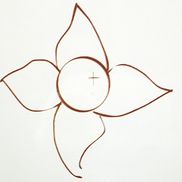 Emily Carle FNP Direct Primary Care