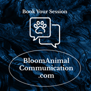 Bloom Animal Communication, Scranton PA