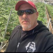 Vantage Point Distribution 