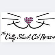 The Catty Shack Cat Rescue and Sanctuary Inc.