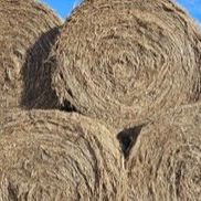 Complete Hemp Processing, LLC and South Dakota Industrial Hemp Association