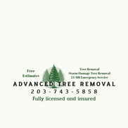 Advanced Tree Removal