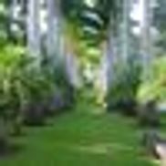 Hawai'i County, Office of the Mayor, Hilo HI