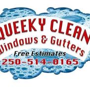 Squeeky Clean Windows and Gutters