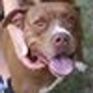 Moore Humane Society