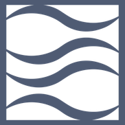 Intentional Wellness Chiropractic logo