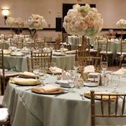 Daniella's Affordable Linens