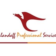 Llandaff Professional Services, Inc.