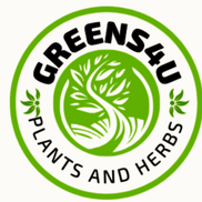 Greens4u Plants and Herbs