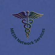 MESH Network Services, Louisville KY