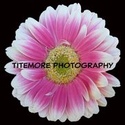 Titemore Photography