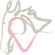 Stronger Life Connections