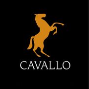 Cavallo Auto Body, West Chester PA