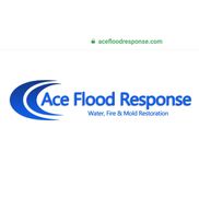 Ace Flood Response, Olympia WA