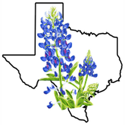 Bluebonnet Family Psychiatry: Humera Danwar, MD