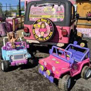 Pic-A-Part Home of Junk Yard Barbie