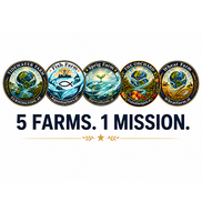 5 Farms - A communal discipleship journey