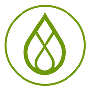 MintRx 