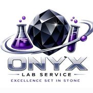 Onyx Lab Service