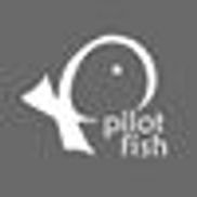 Pilot Fish SEO