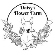 Daisy's Flower Farm