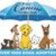 The Canine Collective