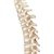 Southside Chiropractic