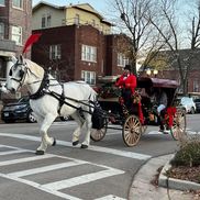 King Carriage LLC
