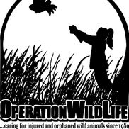 Operation Wildlife, Inc