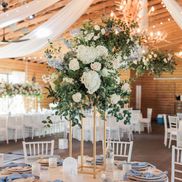 Plantation Oaks Farms