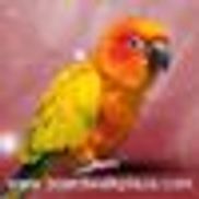 Boardwalk Plaza Hotel