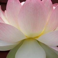 The Yoga Place, Bennington VT